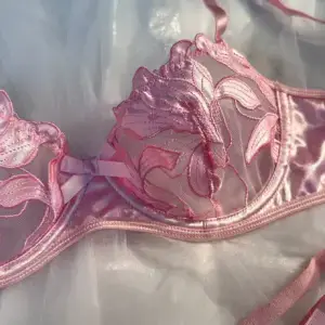 Pink Fairy Embroidery Lingerie Set - Satin Push-Up Bra & Thong with Sheer Lace 5